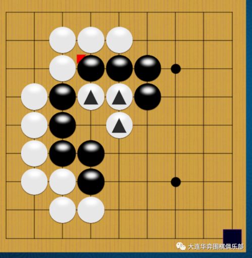 华弈围棋线上21天打卡训练营